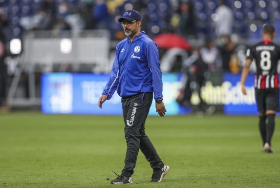 Schalke-Trainer David Wagner gab sich nach der erneuten Niederlage nachdenklich.
