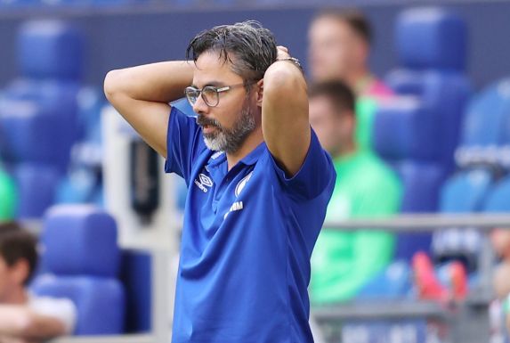 Schalke-Trainer David Wagner konnte einmal mehr mit der Leistung seiner Mannschaft nicht zufrieden sein.