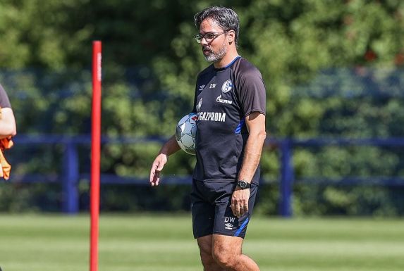 Schalke-Trainer David Wagner muss ohne neun Spieler nach Freiburg reisen (