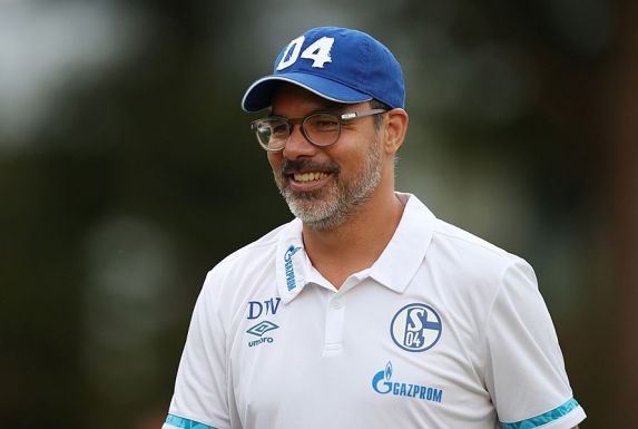 Zufrieden mit dem Trainingslager: Schalke-Trainer David Wagner (