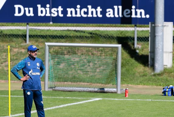 David Wagner, der Trainer von Schalke 04.