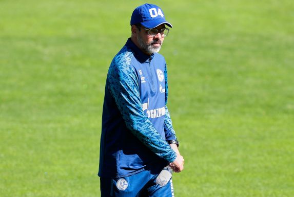 Schalke-Trainer David Wagner plagen Personalsorgen.