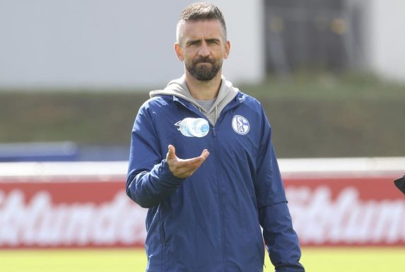 Vedad Ibisevic ist bisher der einzige externe Neuzugang des FC Schalke 04.