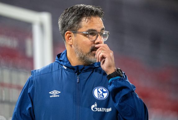 Trainer David Wagner und der FC Schalke 04 warten seit 17 Bundesliga-Spielen auf einen Sieg.