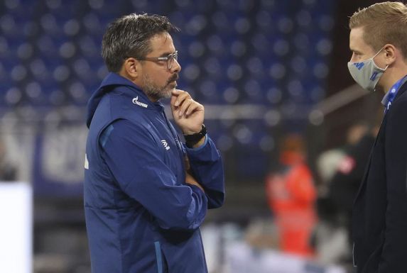 Schalke-Trainer David Wagner steht nach dem 0:3 gegen Bremen nun wohl endgültig vor dem Aus.