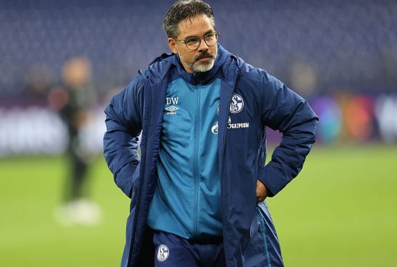 David Wagner ist nicht mehr Trainer beim FC Schalke (