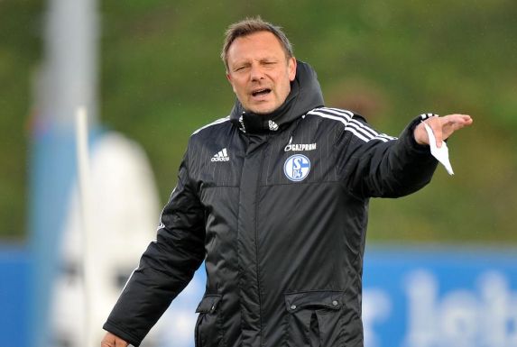War eine Saison lang Trainer des FC Schalke 04: André Breitenreiter.