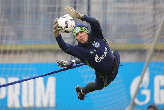 Timon Wellenreuther könnte schon bald wieder im Schalke-Trikot fliegen.