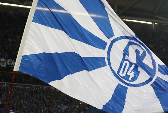 Schalke: Neu im Wahlausschuss: Das sagt Torsten Wieland
