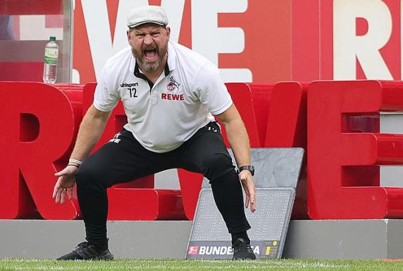 Bundesliga: 1. FC Köln blüht unter Baumgart wieder auf