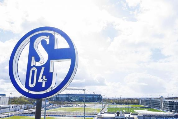 FC Schalke 04: Neuer Vorstandsvorsitzender kommt von Bayer 04