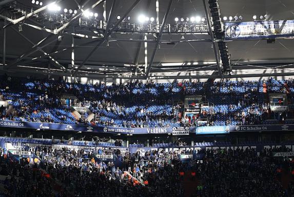 Schalke: 46.319 Tickets verkauft – deswegen blieben viele Plätze leer