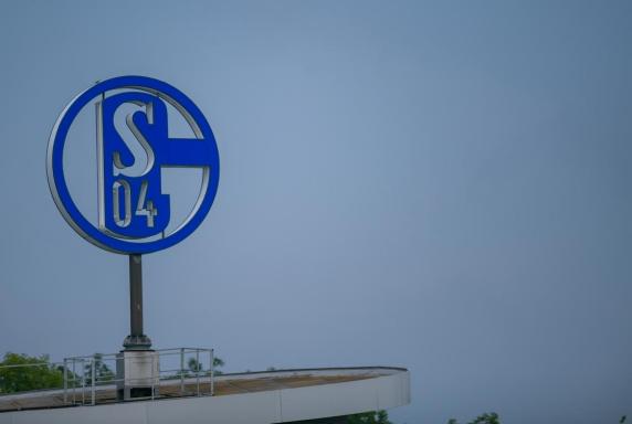 Schalke: 20 Jahre "UGE" - so gratulierte der S04