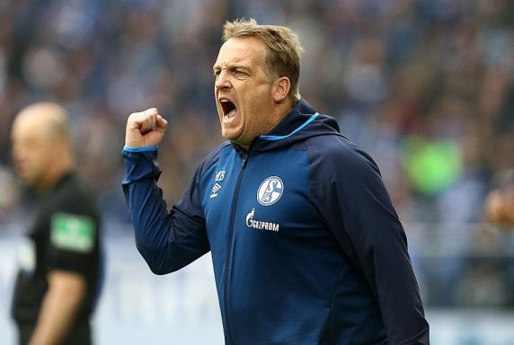 Schalke: Fünf Ausfälle, ein Corona-Verdachtsfall - Büskens nimmt Spieler in die Pflicht