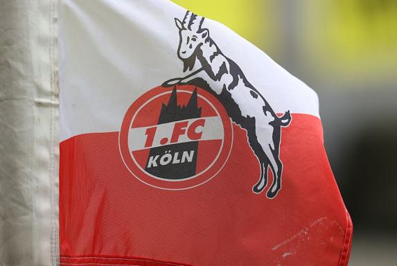 Aus der Regionalliga: Dieses Top-Talent holt der 1. FC Köln