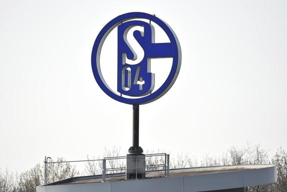 Schalke: U23-Zugänge sechs und sieben stehen fest