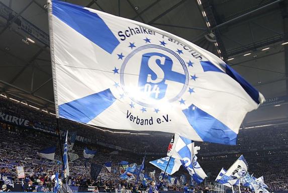 Schalke: Neuzugang im Trainerteam