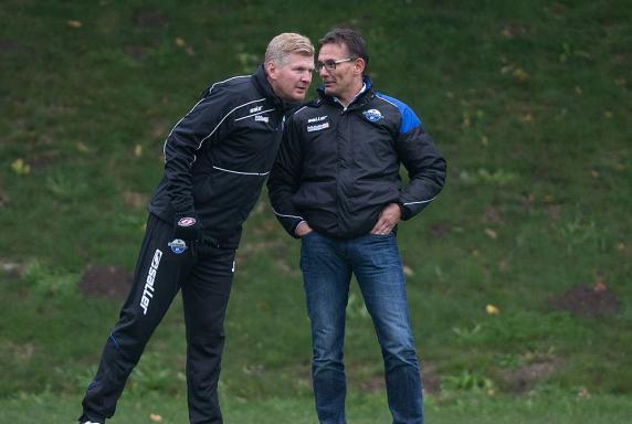 3. Liga: Bayreuth präsentiert neuen Geschäftsführer Sport