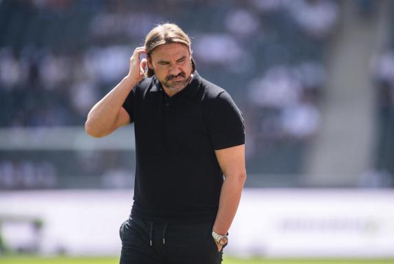 Gladbach: Darum hofft Farke auf einen Top-Schiedsrichter auf Schalke