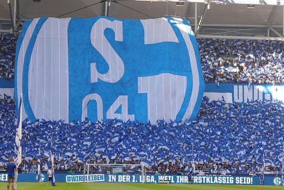 Gladbach-Trainer: "Der beste Beweis dafür, dass Schalke in die Bundesliga gehört"