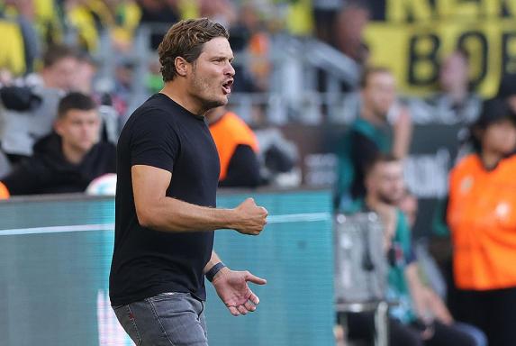 BVB-Personal: "Erfreuliche Nachrichten" für Trainer Edin Terzic