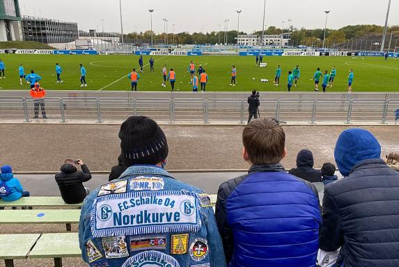 Schalke: Abschlusstraining öffentlich - "War der Wunsch der Fans"