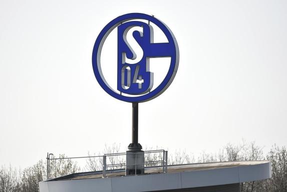 Schalke 04: Sponsoringdirektor von Bayer Leverkusen kommt
