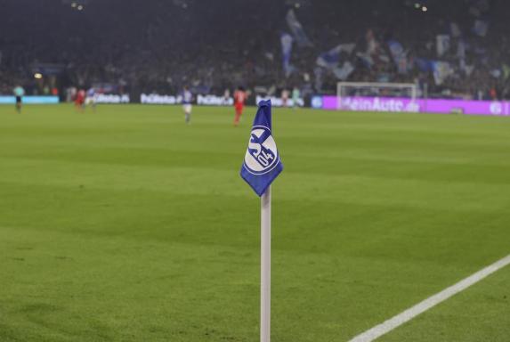 Schalke: Becherwürfe, Ticketing - das brachte der Mitgliederkongress