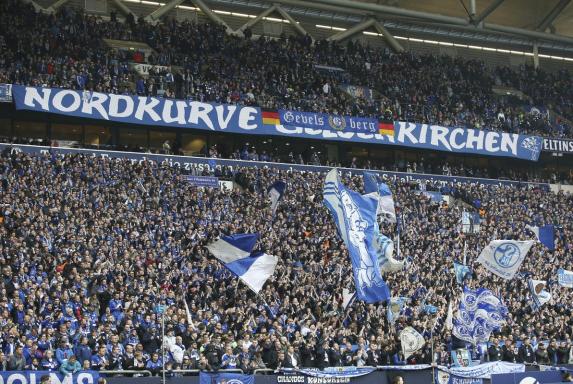 Schalke: Fanclub-Verband - Das ist die neue Vorsitzende von 55.000 S04-Anhängern