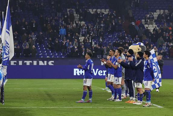 Schalke: "Die Reaktionen der Fans geben uns viel"