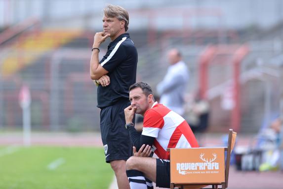 3. Liga: Schlusslicht Hallescher FC stellt neuen Trainer vor