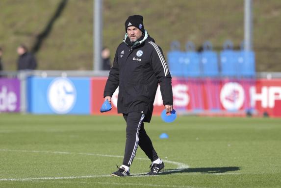 Schalke: Thomas Reis erklärt - So ist die Personal-Lage vor dem Derby