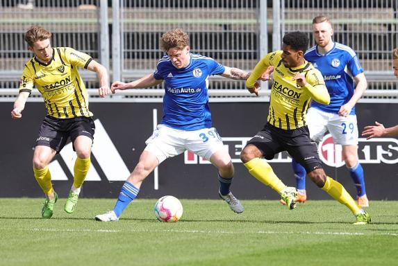 Schalke: Sieg gegen VVV Venlo - Terodde trifft