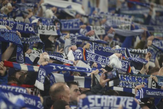 12.000 Schalke-Anhänger? Mit so vielen Gästefans rechnet die TSG Hoffenheim
