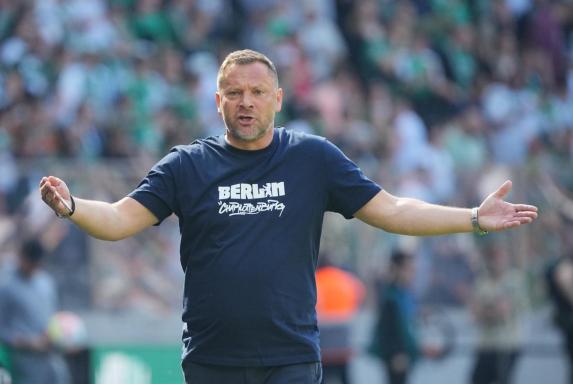 "Verpiss dich": Hertha-Trainer Dardai schmeißt Profi vom Trainingsplatz