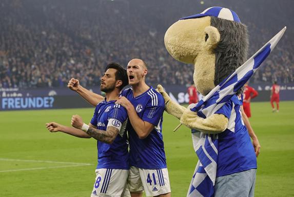 Stadionhymne und Maskottchen: So schneiden Schalke, BVB und VfL Bochum ab