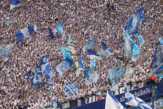 Schalke vor BVB: In welchem Stadion ist die beste Stimmung?