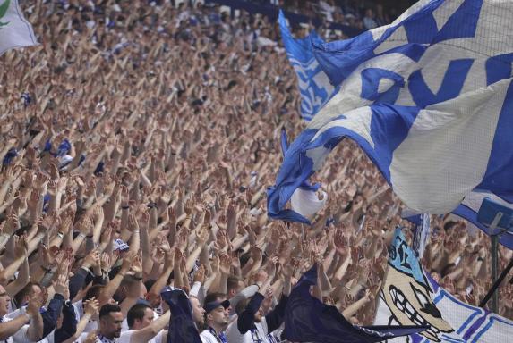 FC Schalke 04: Mitglieder-Boom nach Abstieg - Zahlen steigen an