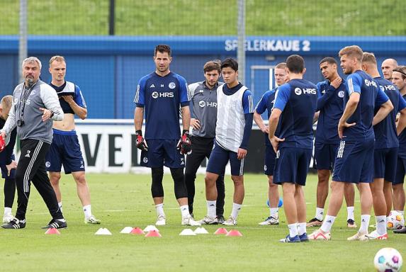 Schalke: Trainer Reis testet ein Talent aus der U23 - Terodde trainiert wieder