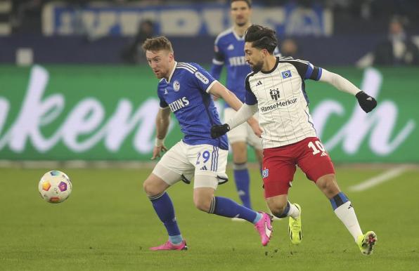 Der Hamburger SV zeigte sich auf Schalke effektiv.