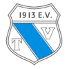 TV Brechten Logo