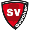 FSV Gescher 1920 Logo