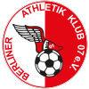 Berliner AK Logo