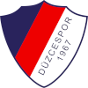 Düzcespor Logo