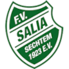 FV Salia Sechtem Logo