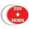 Türkischer SV Horn Logo