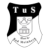 TuS Horn-Bad Meinberg Logo