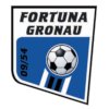Fortuna Gronau 09/54 Logo