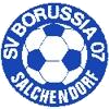 SV Borussia 07 Salchendorf  Logo