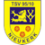 TSV Nieukerk II Logo